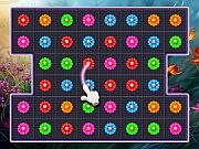 Play Bloom Crush