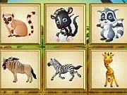 Find This Animal